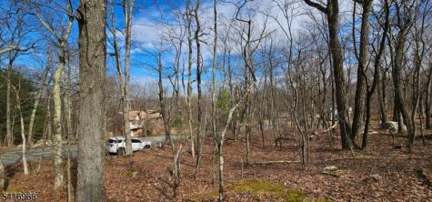 Upper Hibernia Road Rockaway NJ 07866