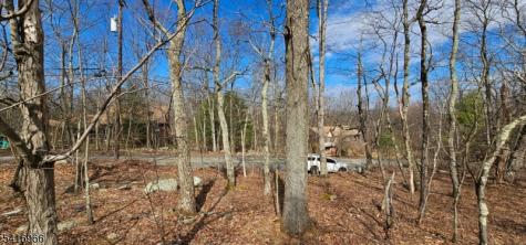 Upper Hibernia Road Rockaway NJ 07866
