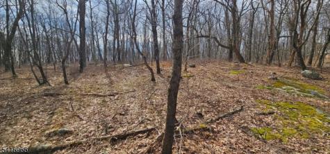 Upper Hibernia Road Rockaway NJ 07866