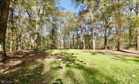 685 Shunpike Road Chatham NJ 07935