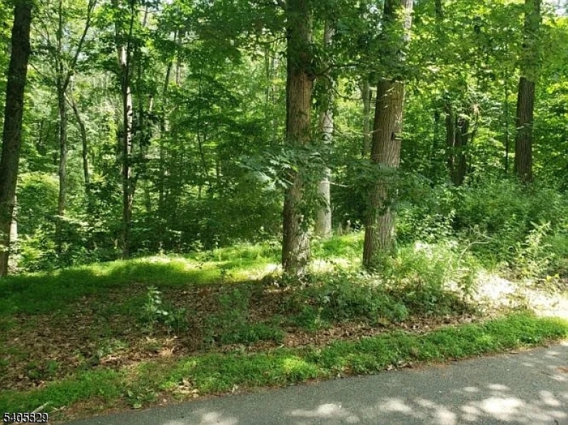 8 Cub Lake Road Byram NJ 07821