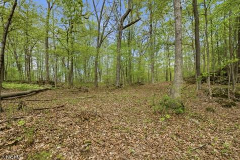 3725 Route 94 Hardyston NJ 07419