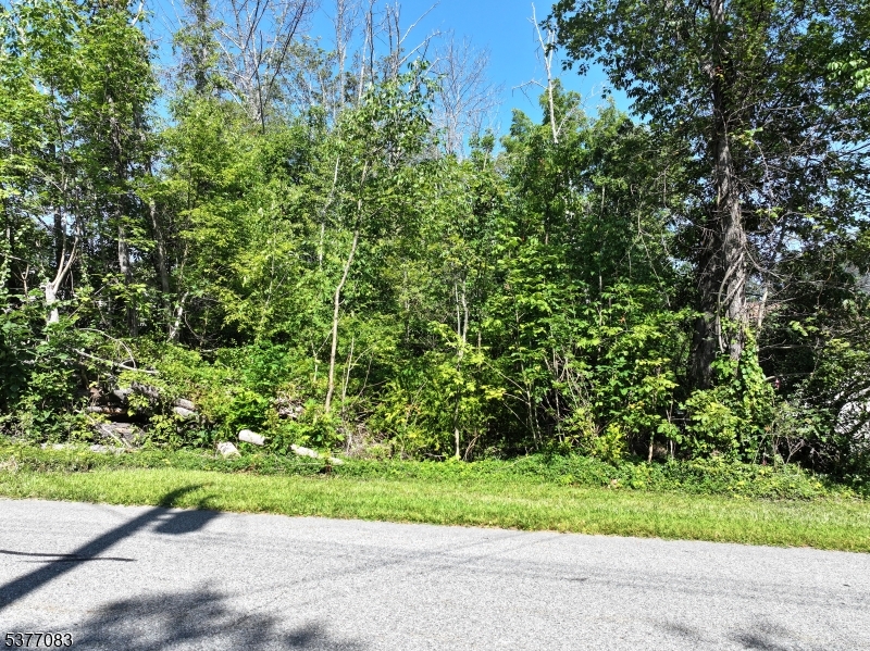 19 E Shore Lake Owassa Road Frankford NJ 07860