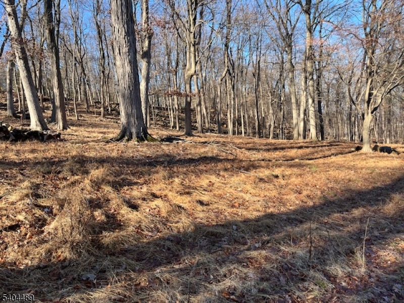 659 Mountain Avenue North Caldwell NJ 07006