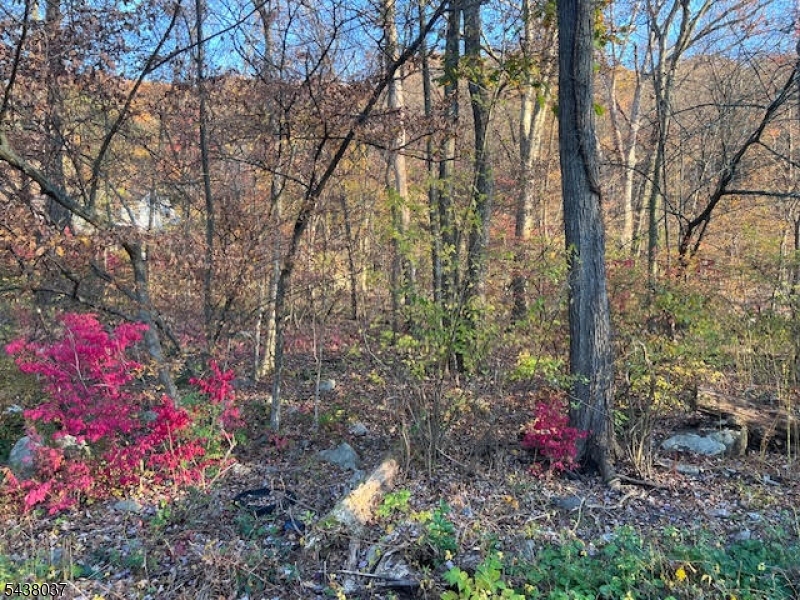 9 Old Woodland Trail Jefferson NJ 07438