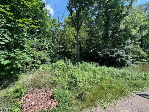 9 Old Woodland Trail Jefferson NJ 07438