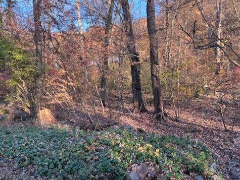 9 Old Woodland Trail Jefferson NJ 07438