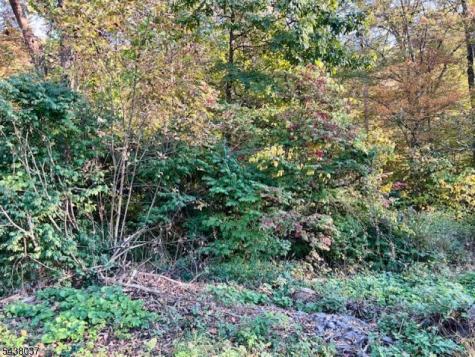 9 Old Woodland Trail Jefferson NJ 07438