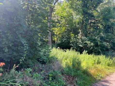 9 Old Woodland Trail Jefferson NJ 07438