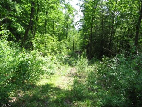 67 Pidgeon Hill Wantage NJ 07461