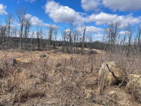 83 Creek Road Green NJ 07821