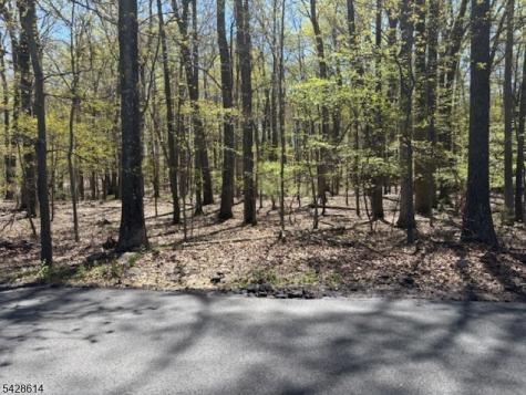 61 Quenby Mountain Road Liberty NJ 07838