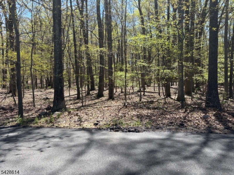 61 Quenby Mountain Road Liberty NJ 07838