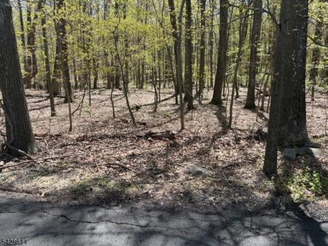 61 Quenby Mountain Road Liberty NJ 07838