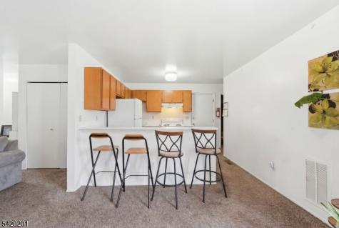 120 Carnegie Place Union NJ 07088