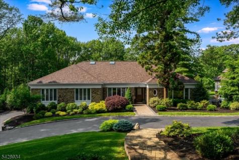 63 Skylark Road Springfield NJ 07081