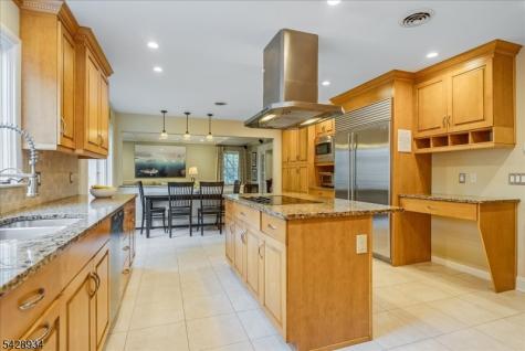 63 Skylark Road Springfield NJ 07081