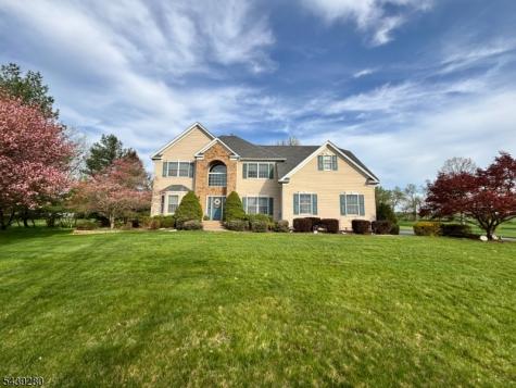 3 Danberry Drive East Amwell NJ 08551
