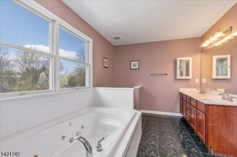 103 Stout Lane Readington NJ 08822