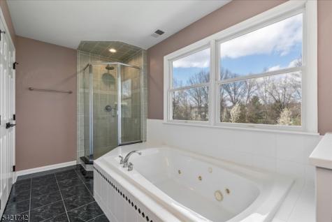 103 Stout Lane Readington NJ 08822