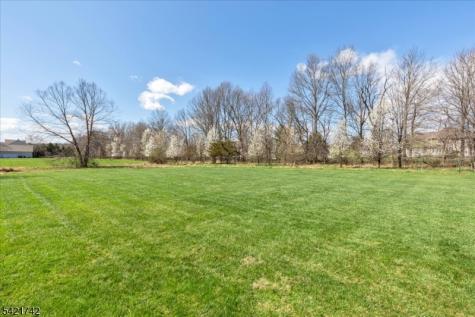 103 Stout Lane Readington NJ 08822