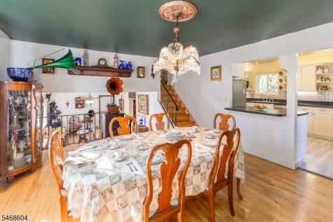 20 Young Drive Stanhope NJ 07874