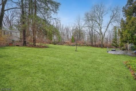 29 Blackberry Lane Morris NJ 07960