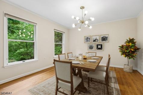 219 E Mountain Road Hillsborough NJ 08844