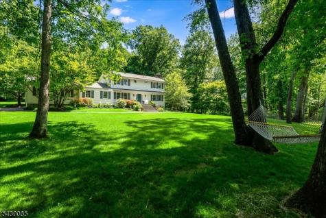 103 State Park Road Chester NJ 07930