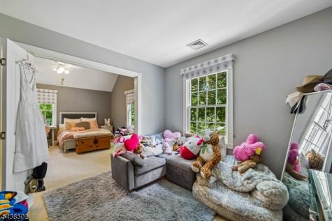 24 Canoe Brook Road Millburn NJ 07078