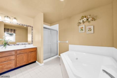 5 Pegasus Place Washington NJ 07840