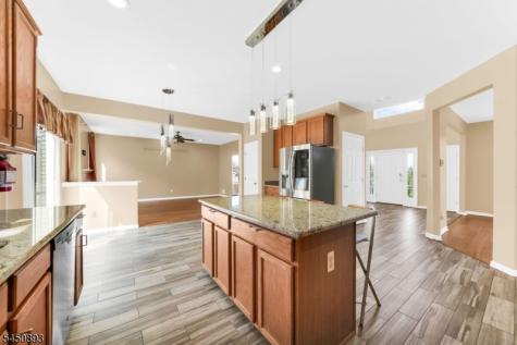 5 Pegasus Place Washington NJ 07840