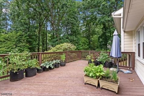 19 Sunrise Drive Morris Plains NJ 07950