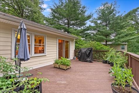 19 Sunrise Drive Morris Plains NJ 07950