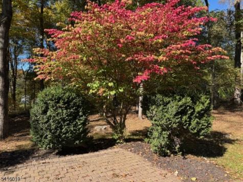 14 Fawn Drive Clinton NJ 08833