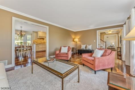 34 Molasses Hill Road Clinton NJ 08833