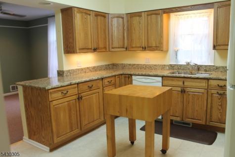 59 Molly Stark Drive Morris NJ 07960
