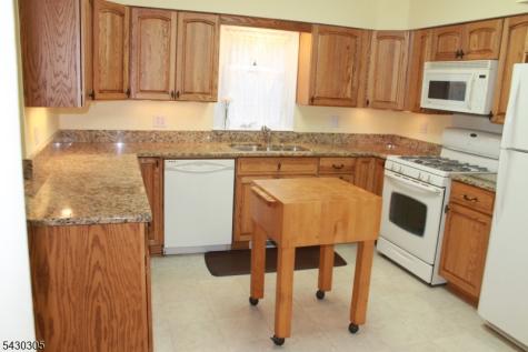 59 Molly Stark Drive Morris NJ 07960