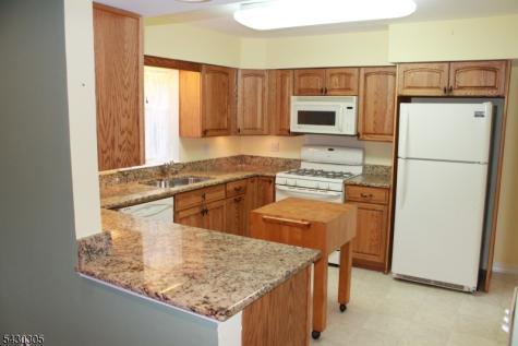 59 Molly Stark Drive Morris NJ 07960
