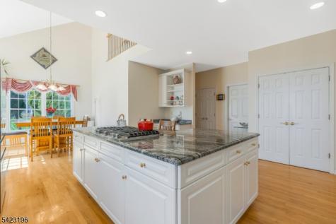 47 Scheurman Terrace Green Brook NJ 08812
