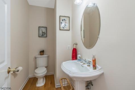 47 Scheurman Terrace Green Brook NJ 08812
