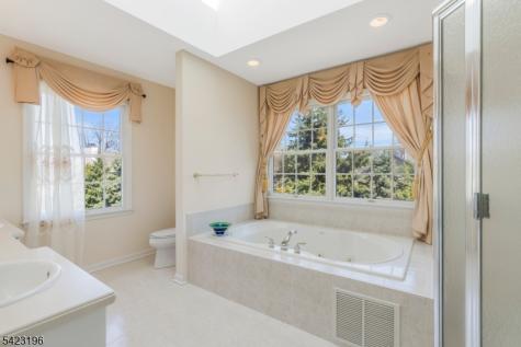 47 Scheurman Terrace Green Brook NJ 08812