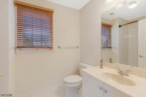 47 Scheurman Terrace Green Brook NJ 08812