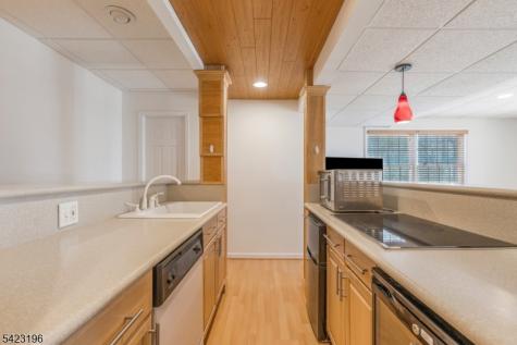 47 Scheurman Terrace Green Brook NJ 08812