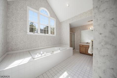 29 Castle Court Randolph NJ 07869