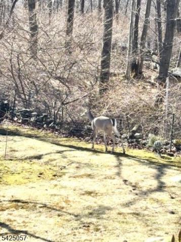8 Loyola Court Hopatcong NJ 07843