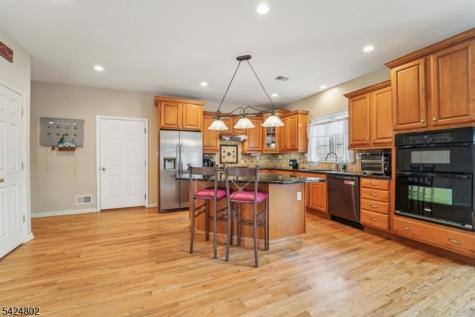 5 Megan Terrace Sparta NJ 07871