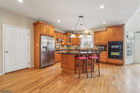 5 Megan Terrace Sparta NJ 07871