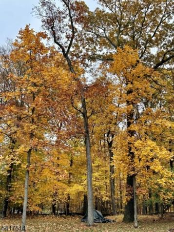 5 Buddy Lane Mendham NJ 07960