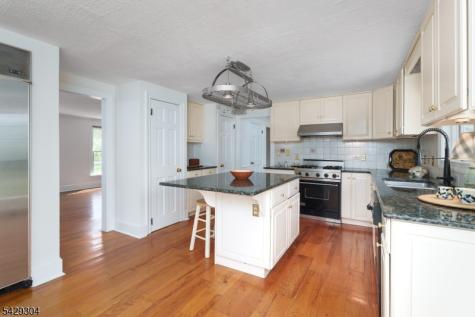 208 Mountain Road East Amwell NJ 08551